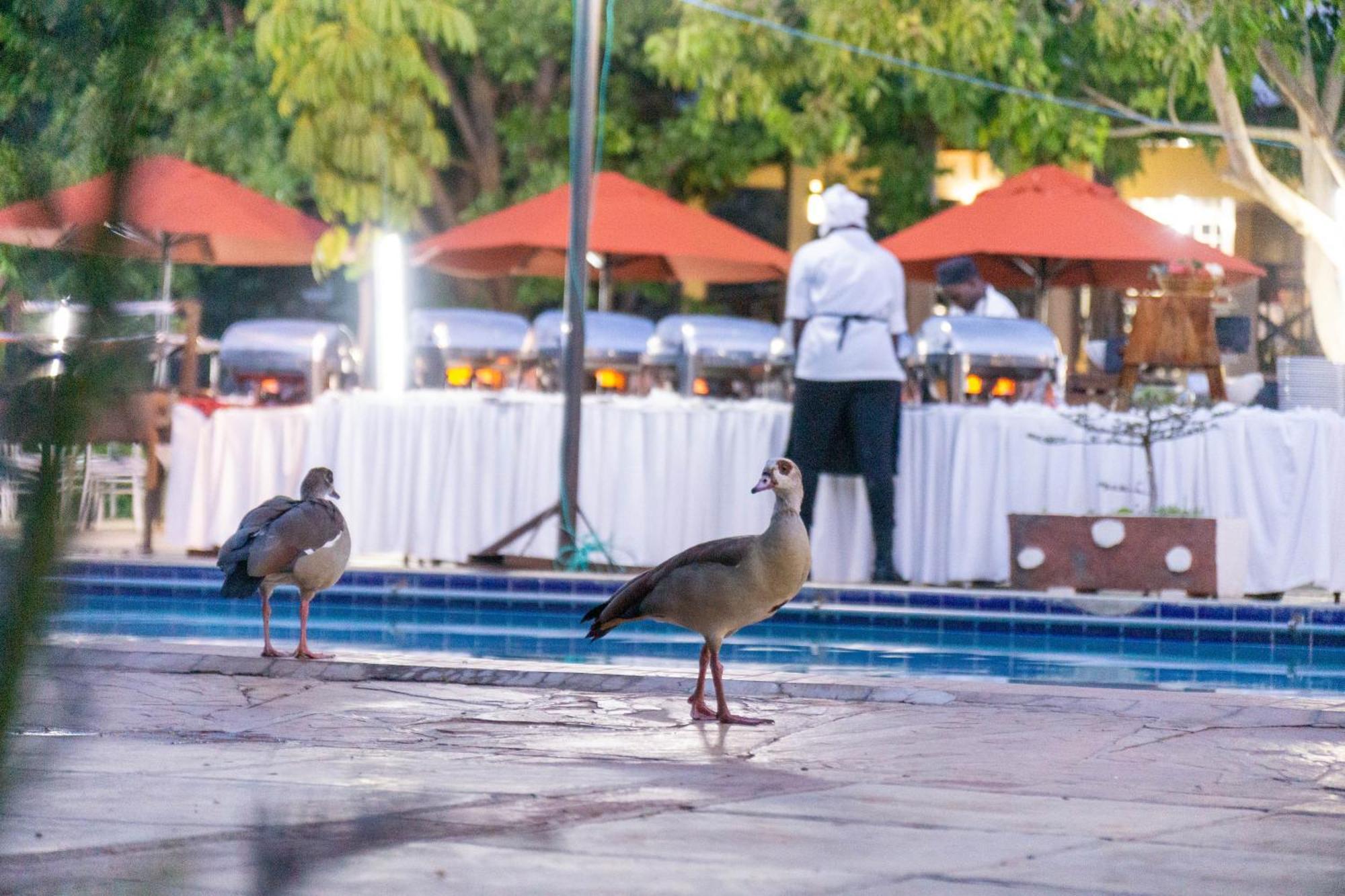 鲁肯亚休闲酒店 Athi River 外观 照片