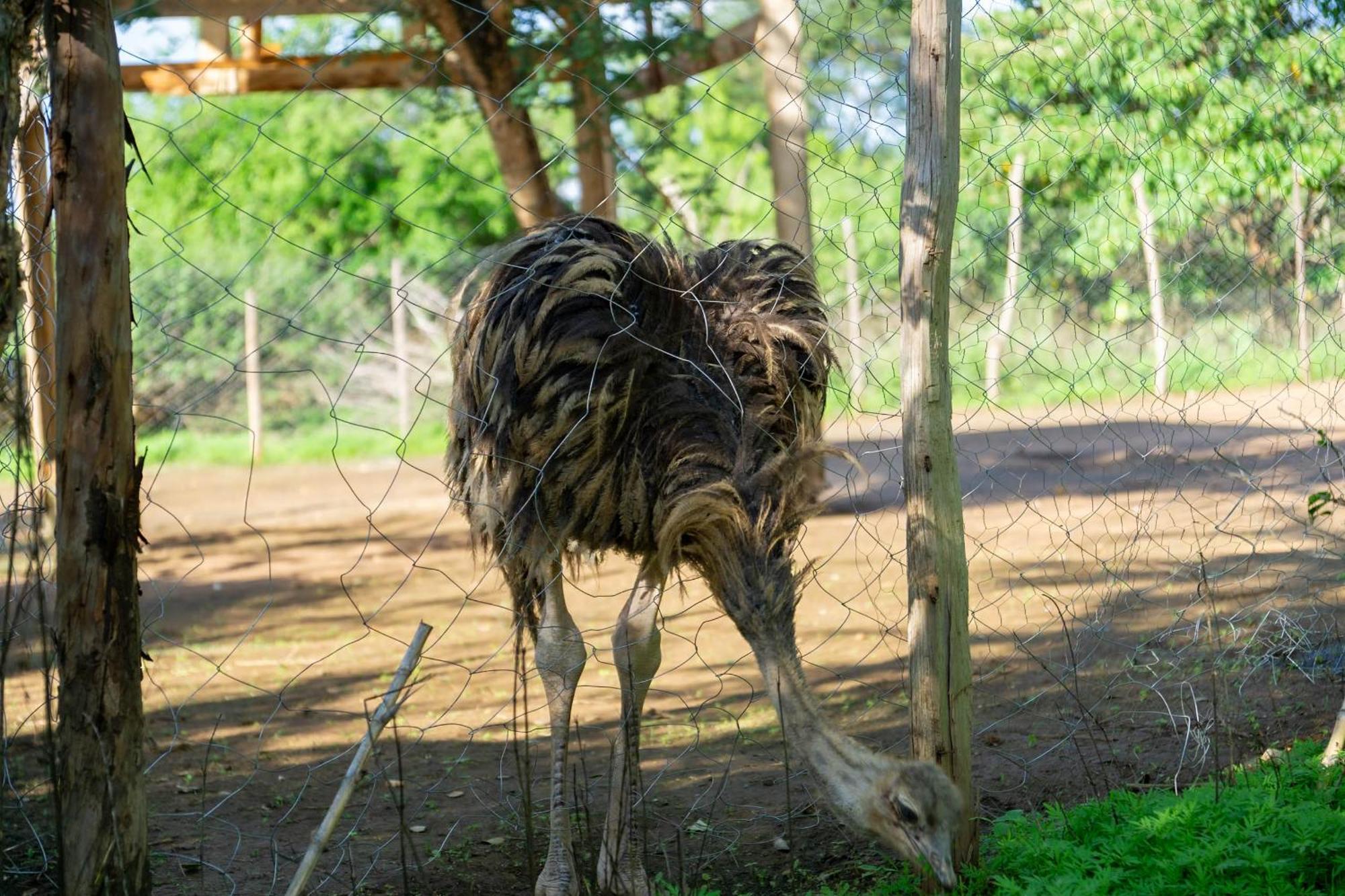 鲁肯亚休闲酒店 Athi River 外观 照片